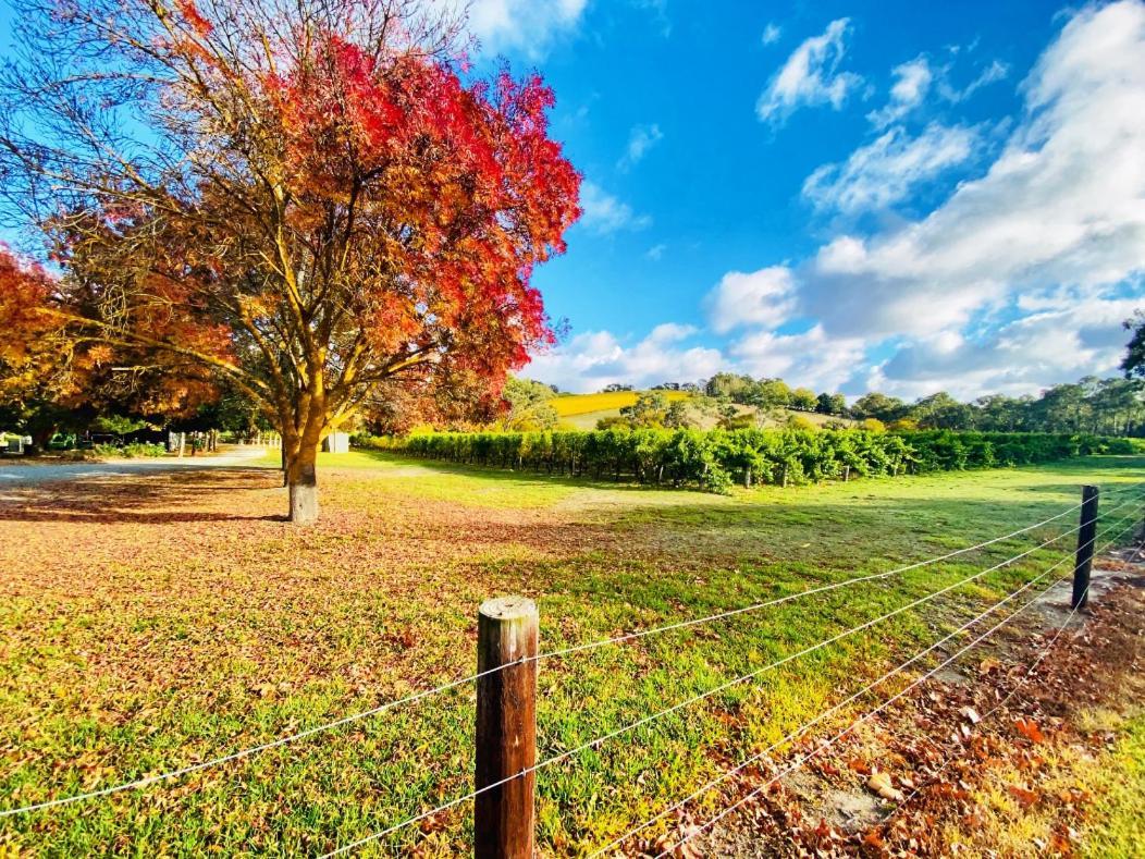 Adelaide Hills Escape Hotel Woodside Екстериор снимка